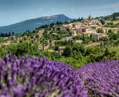 Gordes , Province France as background of the lavender field during summer